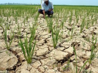 BMKG Prediksi Musim Kemarau 2026 Datang Lebih Cepat, Ini Wilayah yang Terdampak dan Perkiraan Puncaknya