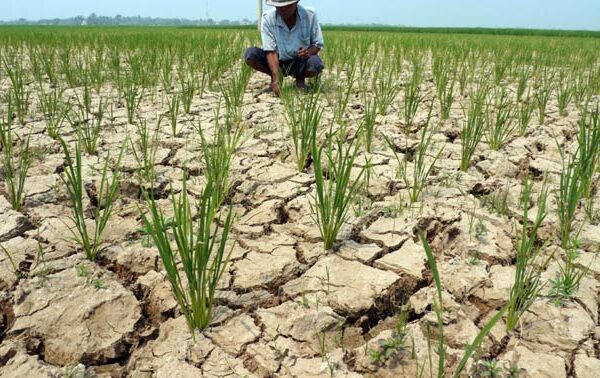 BMKG Prediksi Musim Kemarau 2026 Datang Lebih Cepat, Ini Wilayah yang Terdampak dan Perkiraan Puncaknya