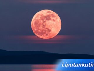 Fenomena Pink Moon 1 April 2026 Bisa Dilihat di Indonesia Ini Waktu dan Cara Menyaksikannya