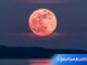 Fenomena Pink Moon 1 April 2026 Bisa Dilihat di Indonesia Ini Waktu dan Cara Menyaksikannya